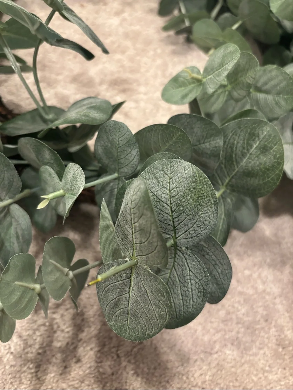 Hearth and hand magnolia Eucalyptus Wreath 15 inch